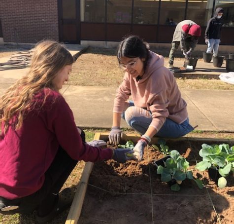 Students, Teachers Join to Create Kimmons First-Ever Community Garden